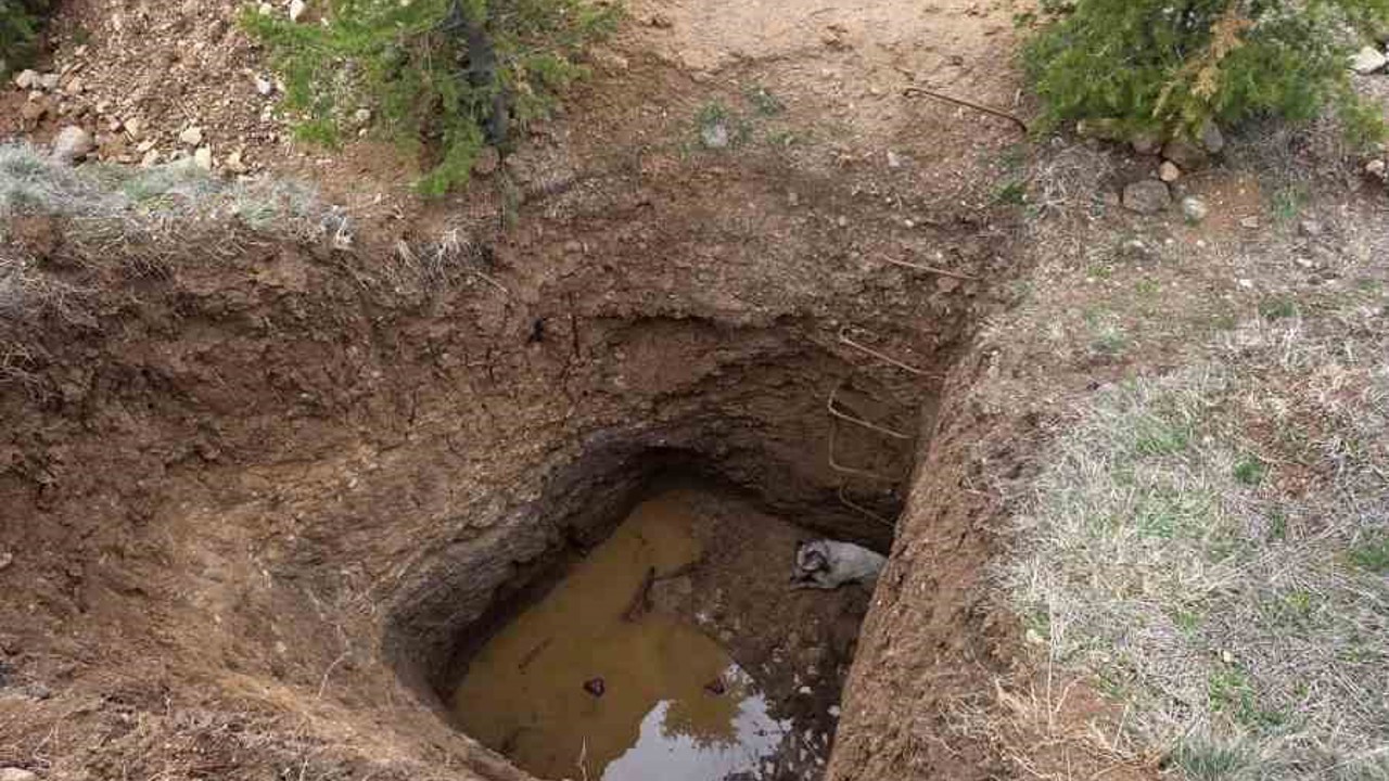 Ankara’da kaçak kazının yapıldığı çukura düşen köpek kurtarıldı
