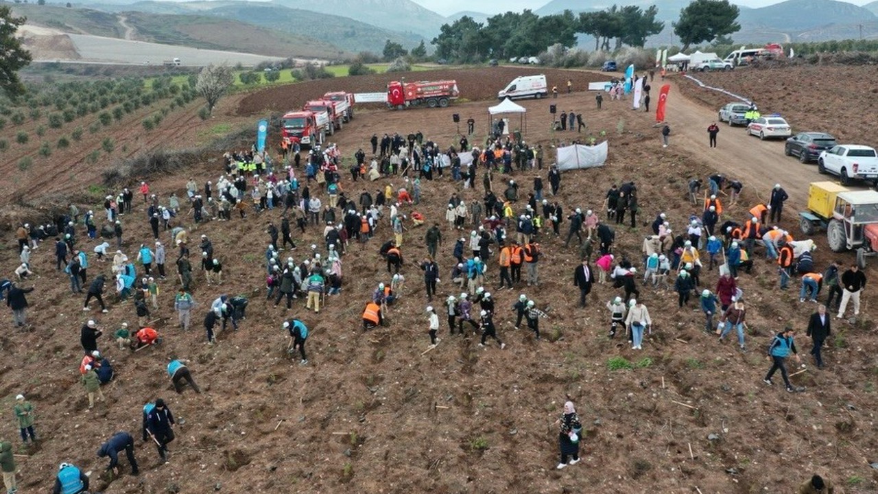 Manisa’da Orman Haftası’nda binlerce fidan toprakla buluştu
