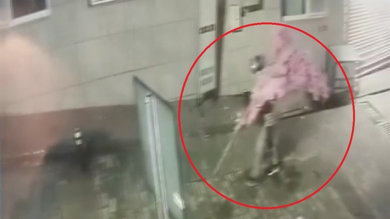 ‘Bir kafeden daha fazlası’ yazısını fark etti, ağacı sırtlayıp gitti O anlar kamerada
