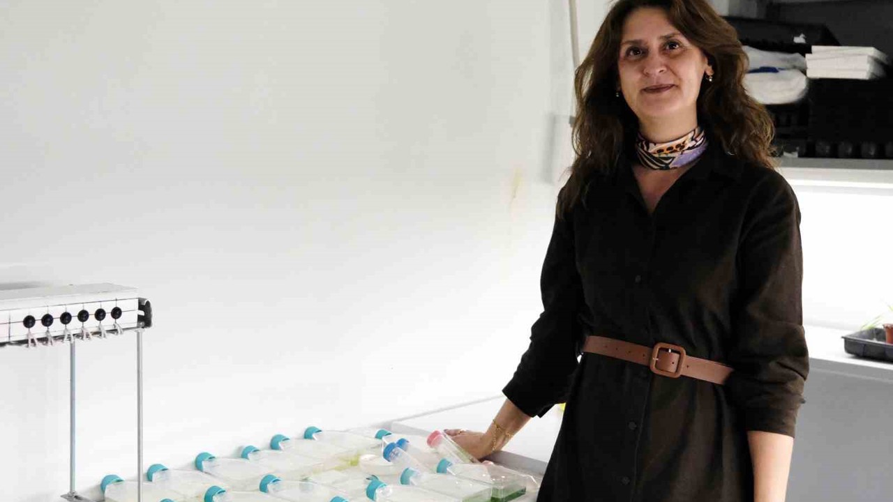 BŞEÜ akademik alanda önemli bir başarıya imza attı
