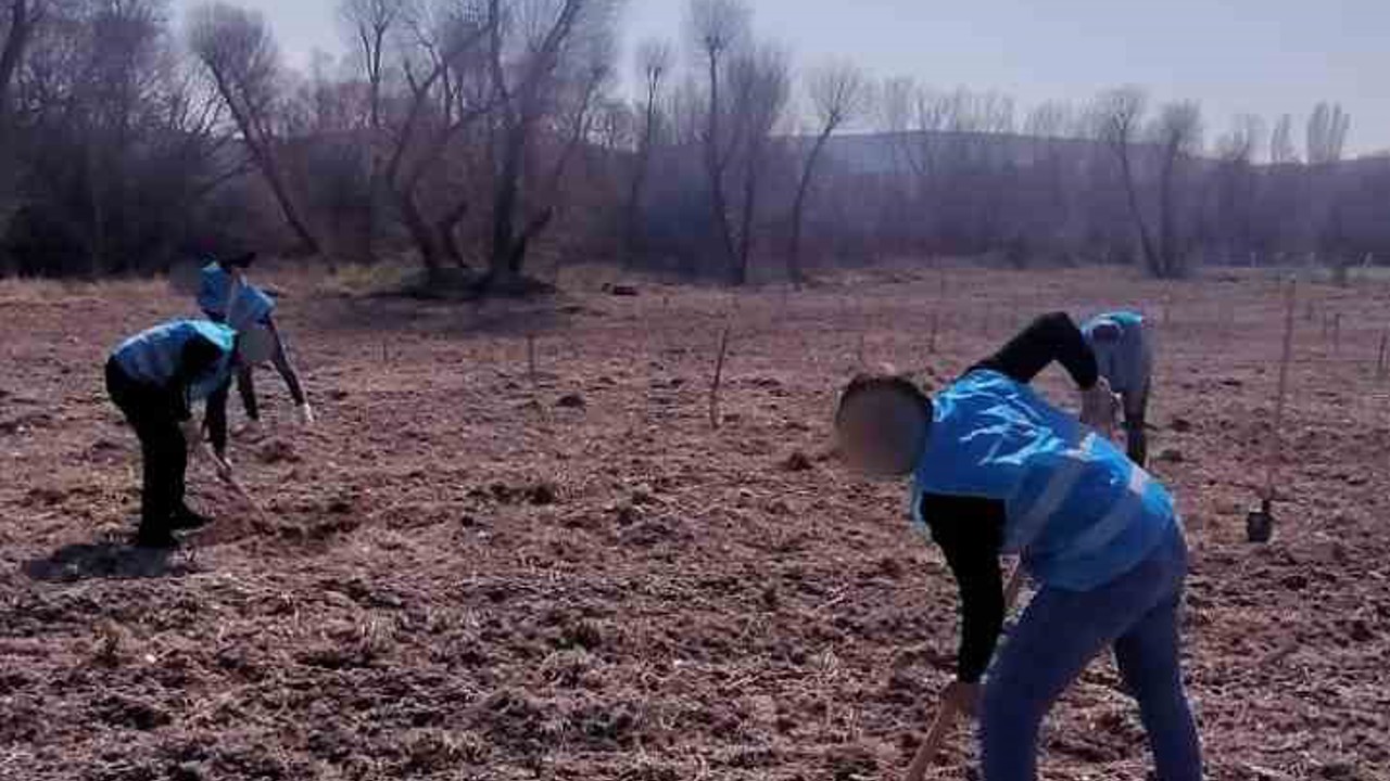 Denetimli serbestlik yükümlüleri ’Adalet Ormanı’nda meyve yetiştiriyor
