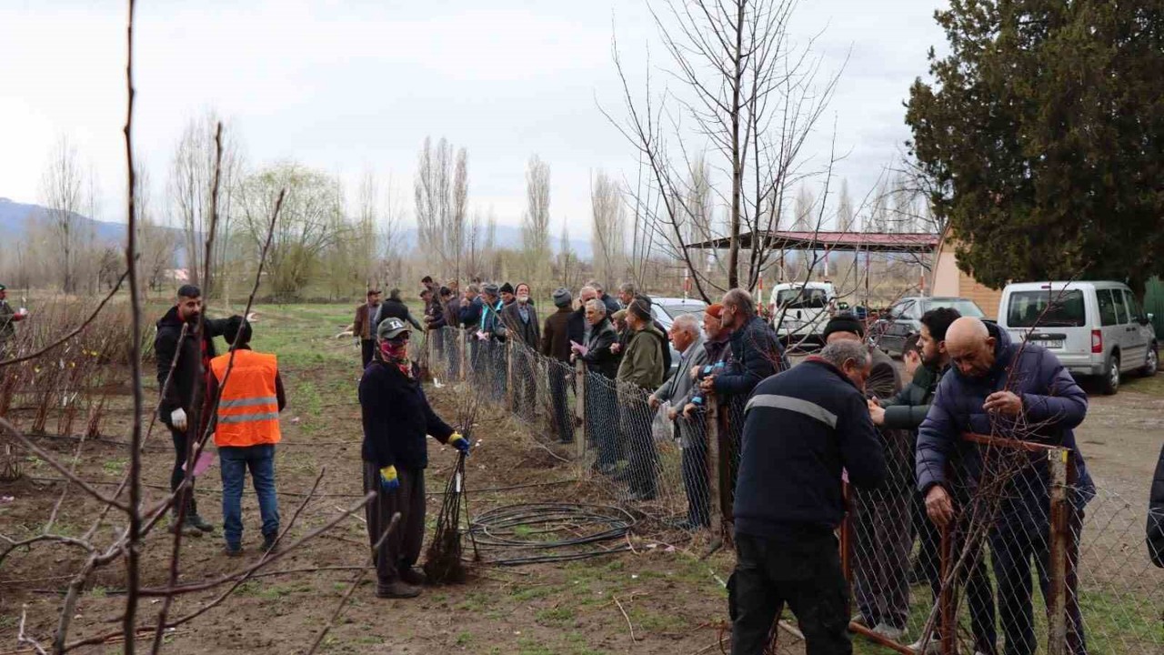Meyve fidanı satışı 30 Mart’ta yapılacak
