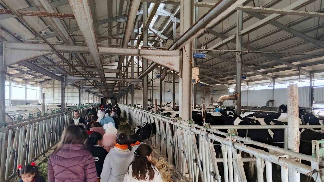 Çocuklar, tarımsal üretimi yerinde inceledi
