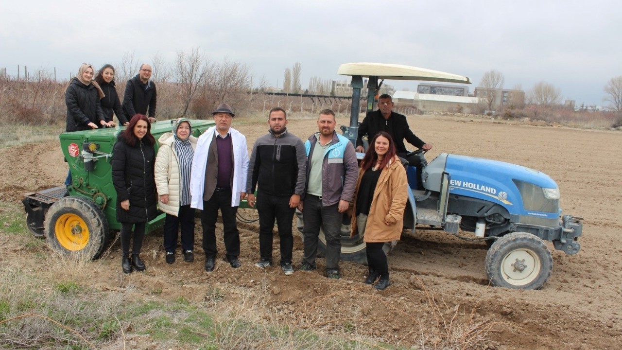 Niğde’de kadın kooperatifleriyle çörek otu ekimi tamamlandı
