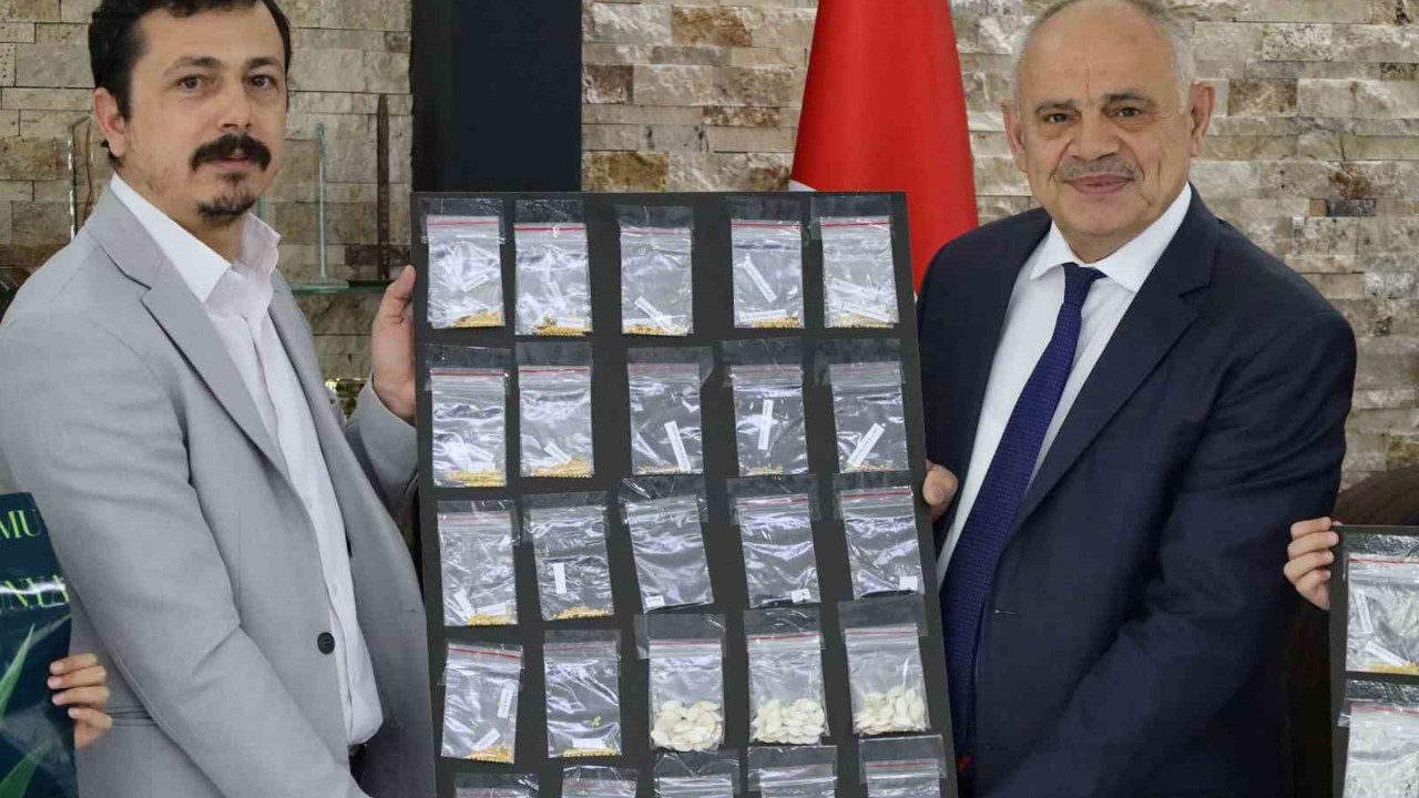 Yahyalı’da "Ata Tohumu" Projesine anlamlı destek
