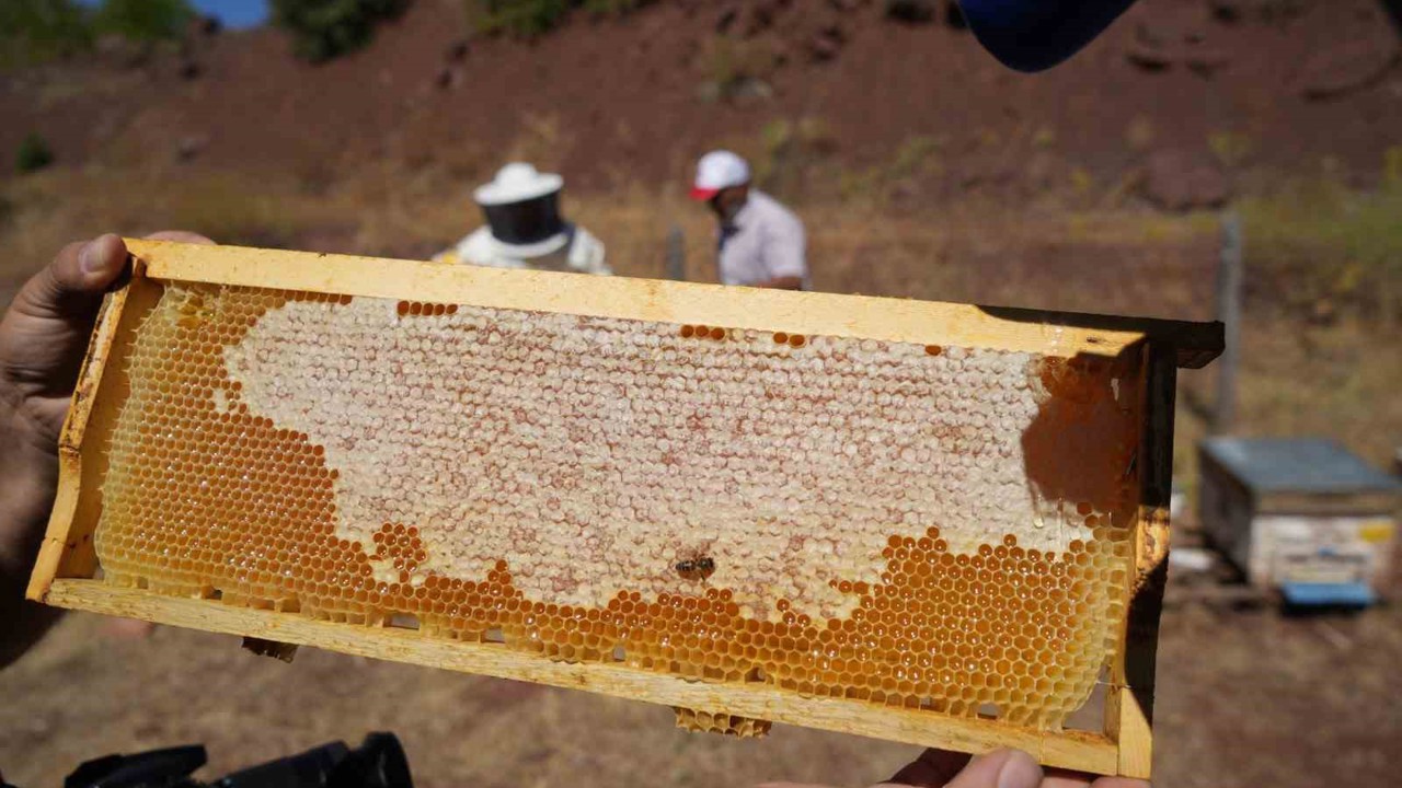 Erzincan Geven Balı coğrafi işaret tescili aldı
