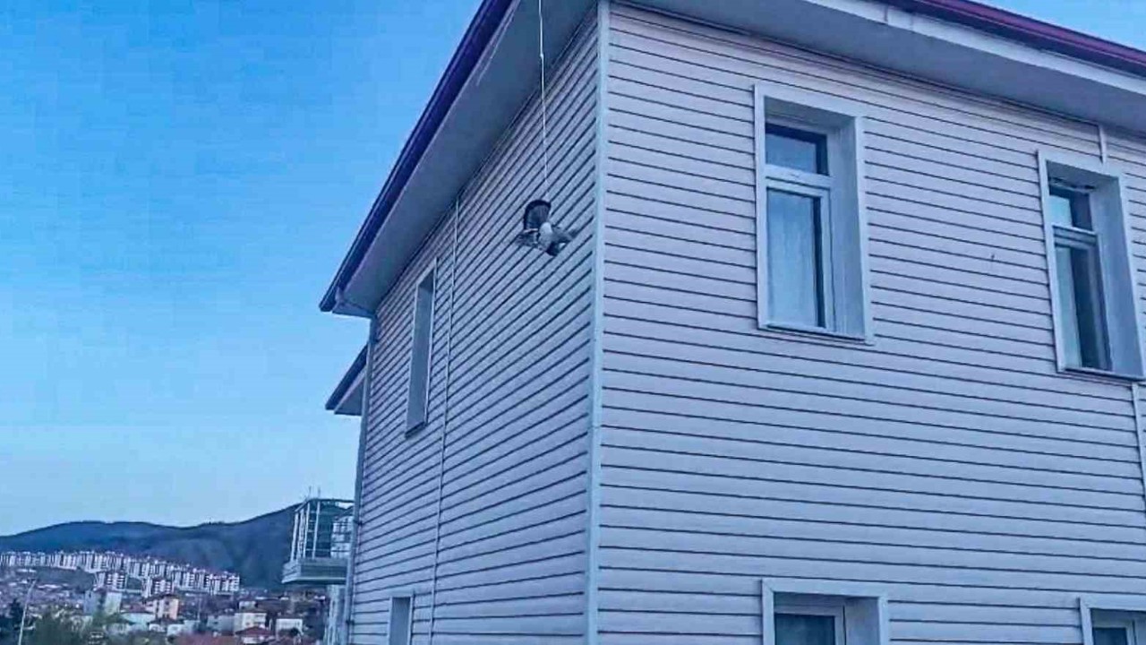 Çorum’da ipe takılan güvercini itfaiye kurtardı
