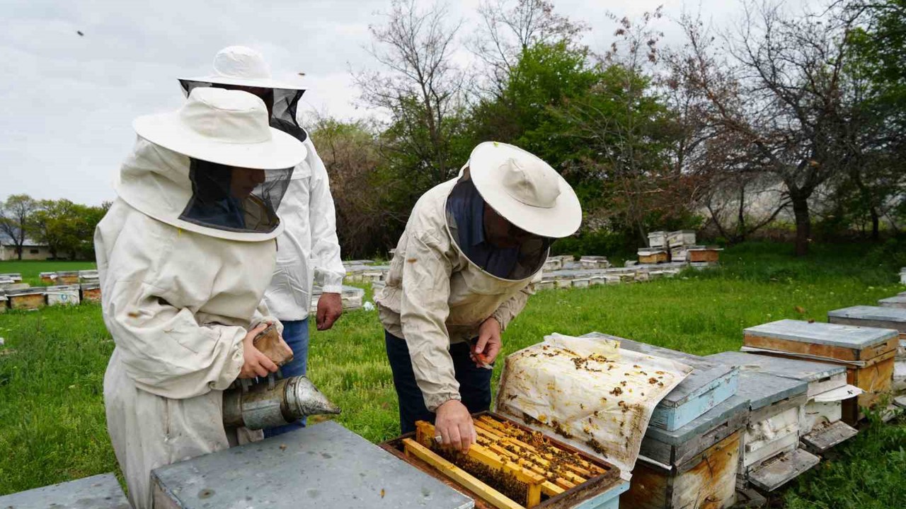Kış uykusundan uyanan arılar Erzincan’da yeni sezona hazırlanıyor
