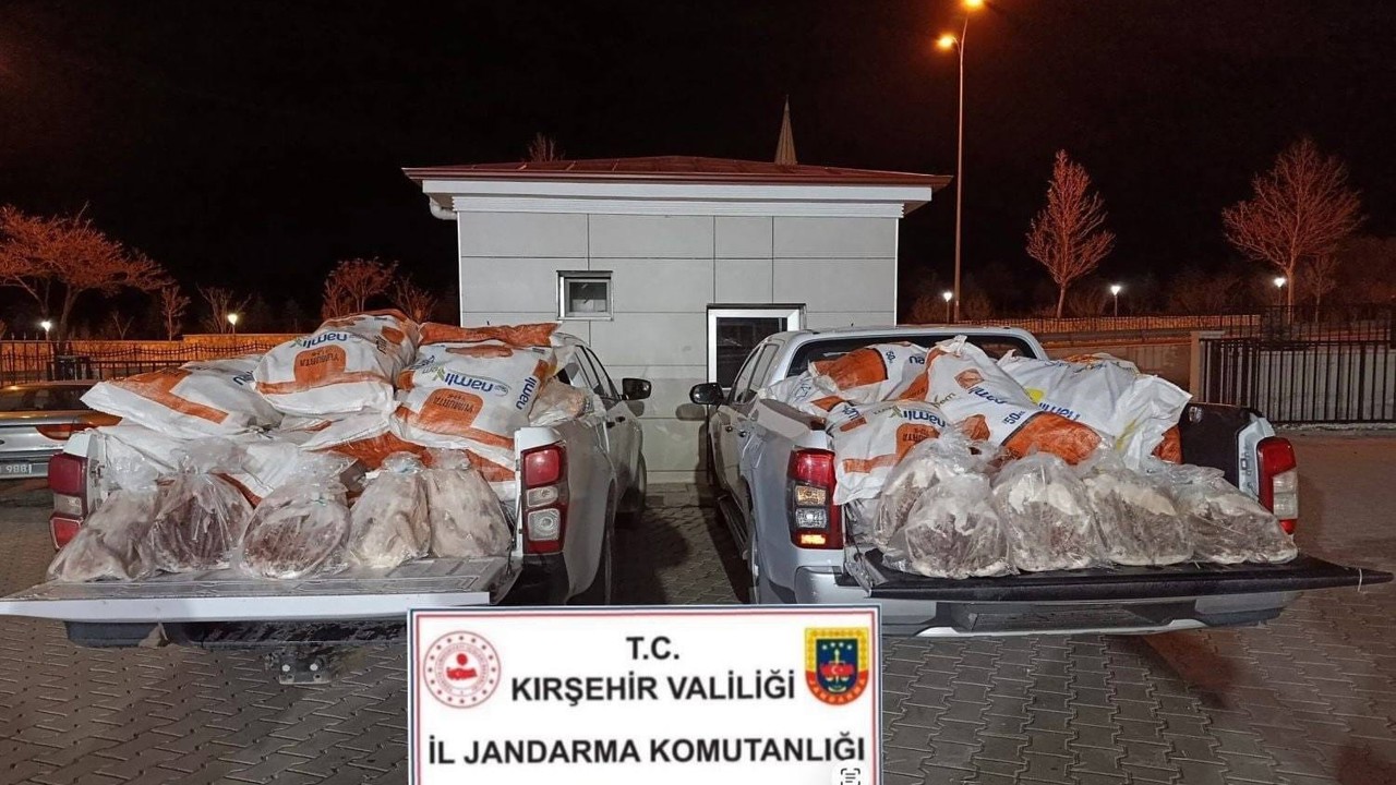 Kırşehir’de 1 ton 200 kilo kaz eti ele geçirildi
