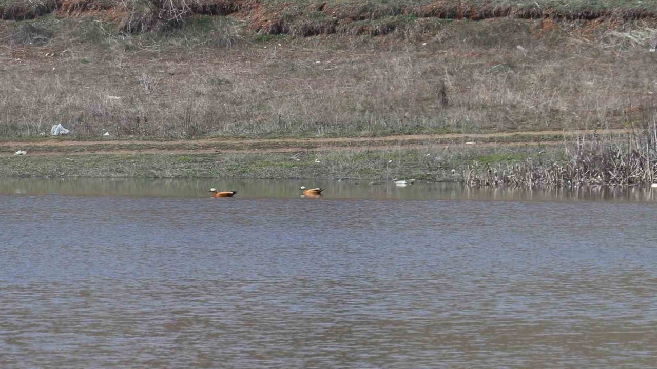 Ağustos ayında kurumaya başlayan Kızılca göleti yeniden doldu
