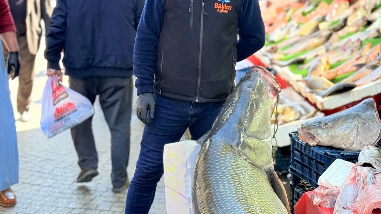 Elazığ’da kurban pazarlığını aratmayan görüntü: Vatandaşlar dev balık için yarıştı
