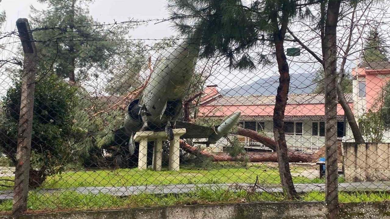 Üzerine ağaç düşen uçak zarar gördü
