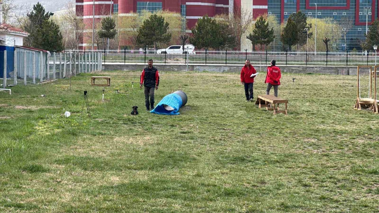 Uluslararası düzeyde alan ve enkaz arama köpekleri sınavı Afyonkarahisar’da başladı

