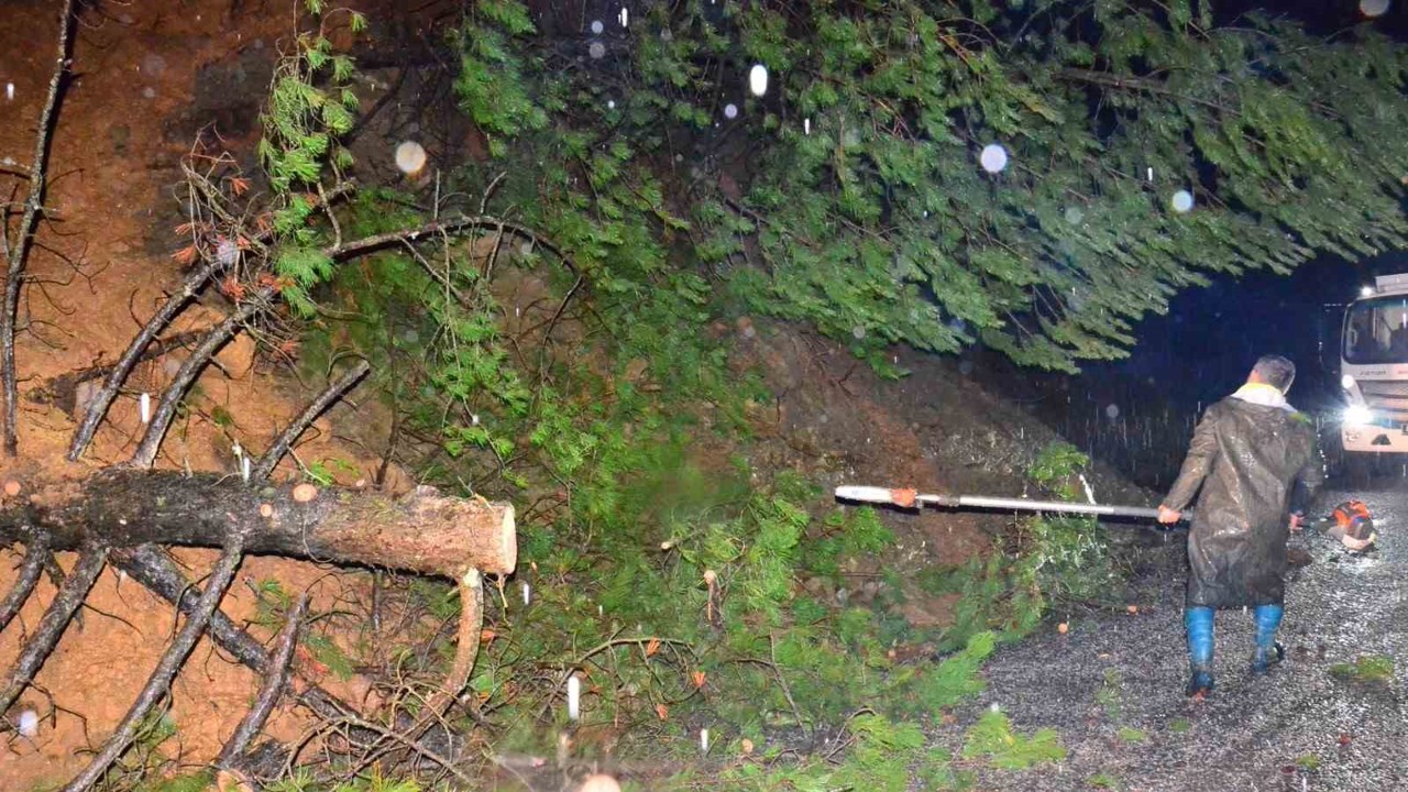 Yağış ağaçları devirdi, yol kısa sürede açıldı
