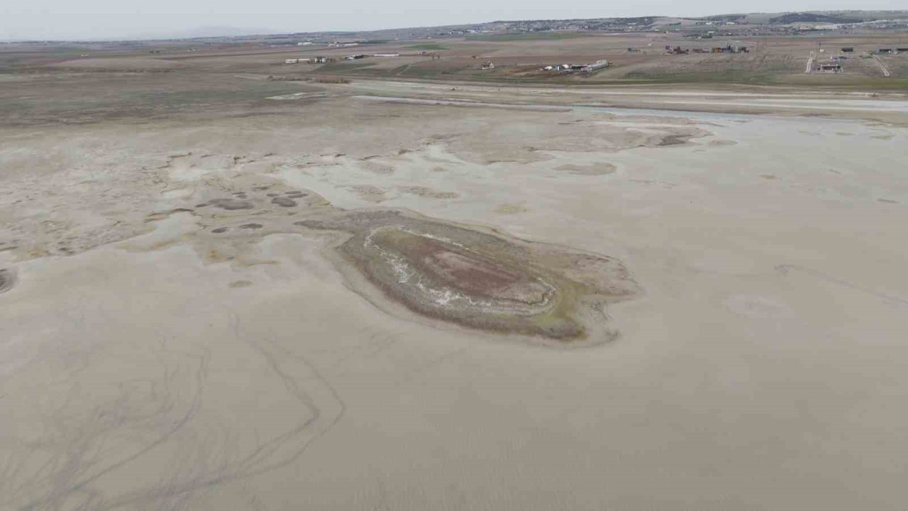 Allı turnaların yuvası yok oluyor
