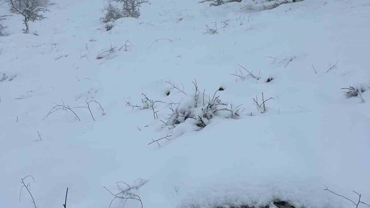 Mart sonunda Karıncalı Dağ’da kar sürprizi
