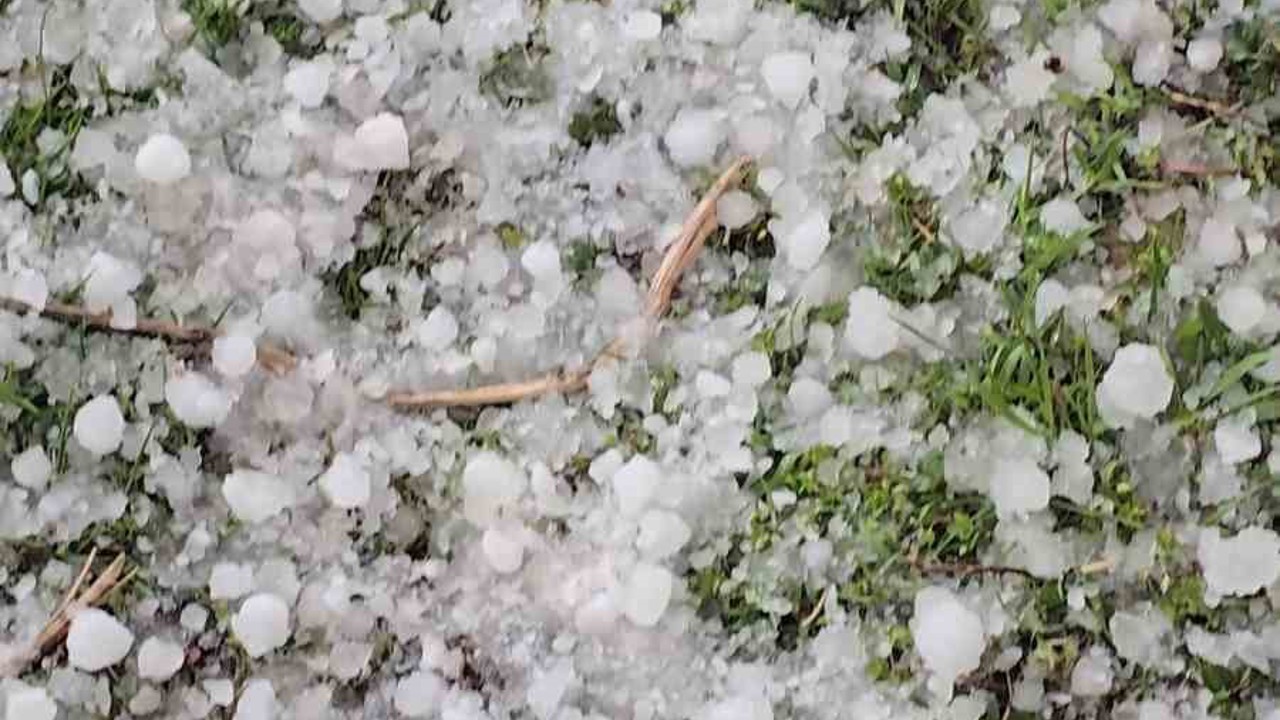 Niğde’de dolu yağışı etkili oldu
