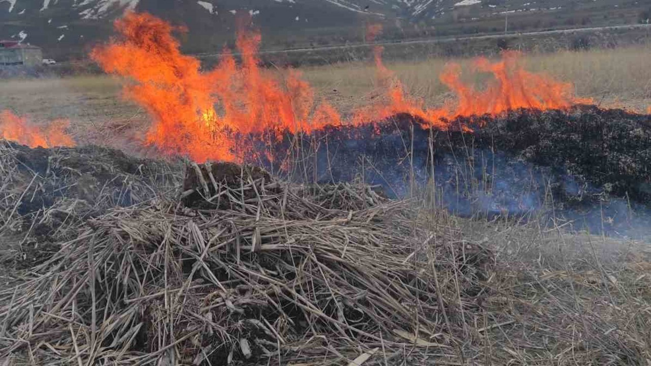 Van’ın Gevaş ilçesinde anız yangını
