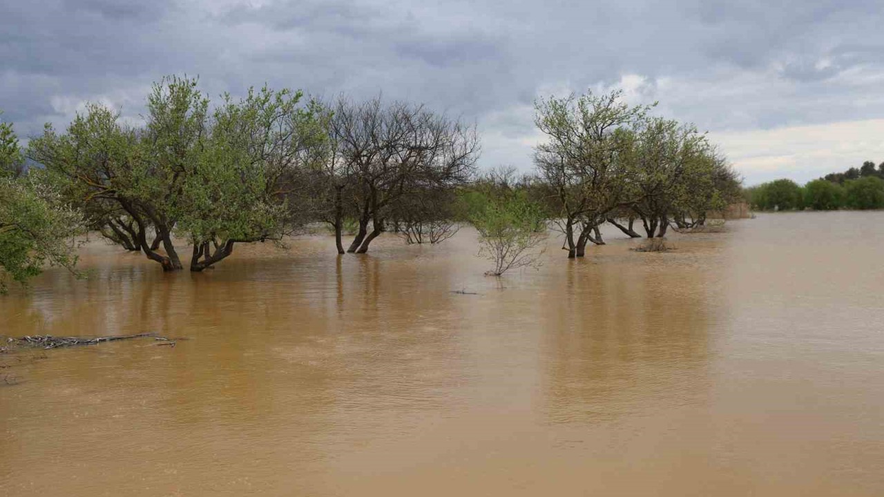 Sağanak yağış Menderes Nehri’ni taşırdı
