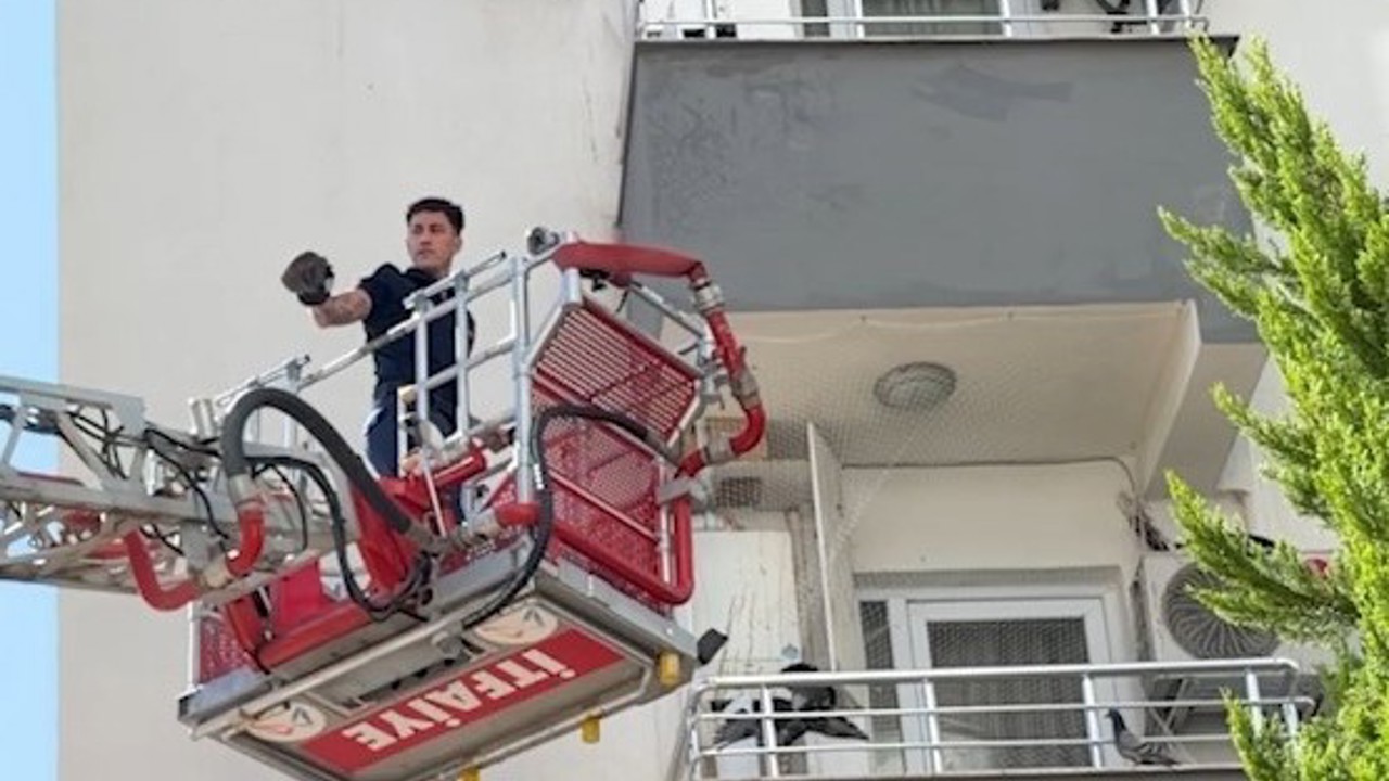 Balkon filesine takılan güvercini itfaiye kurtardı

