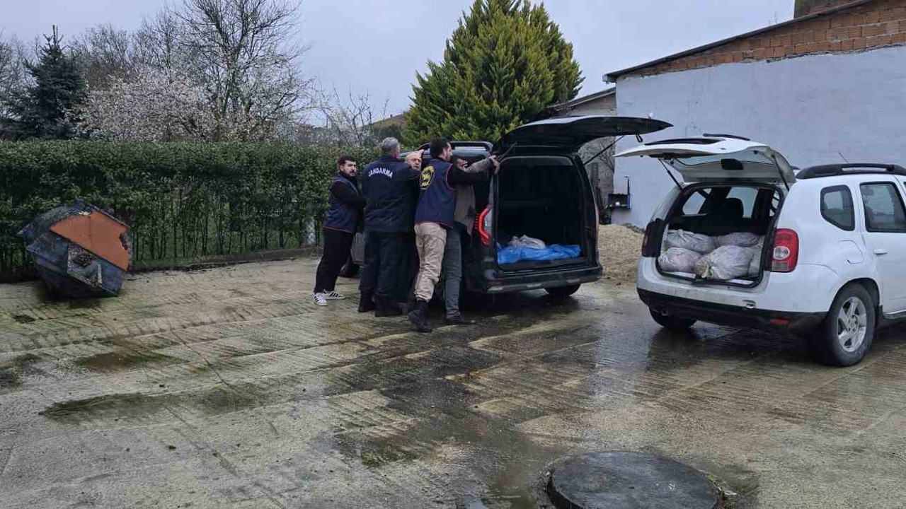 Silivri’de satışa hazır 306 at eti yakalandı
