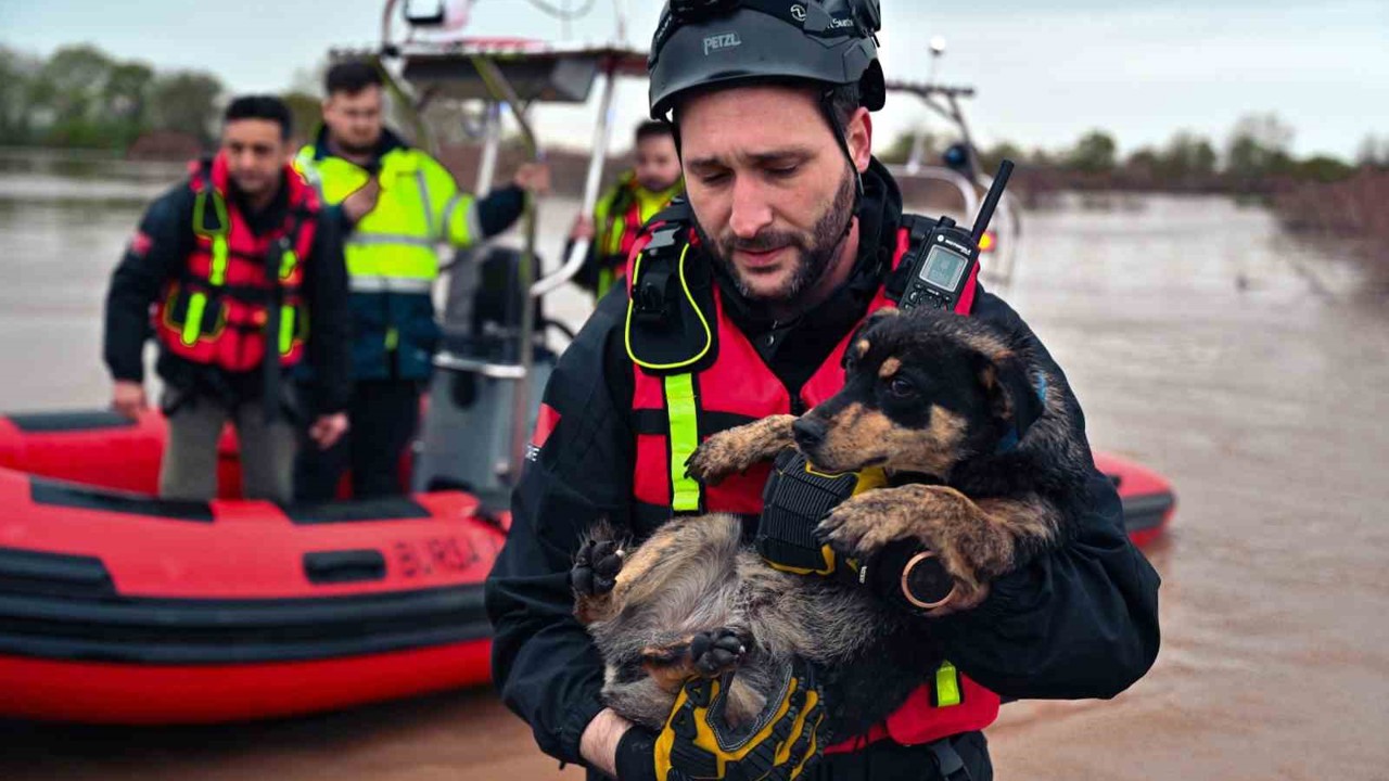 Sular altında kalan bağ evinde mahsur kalan iki köpeği belediye ekipleri kurtardı
