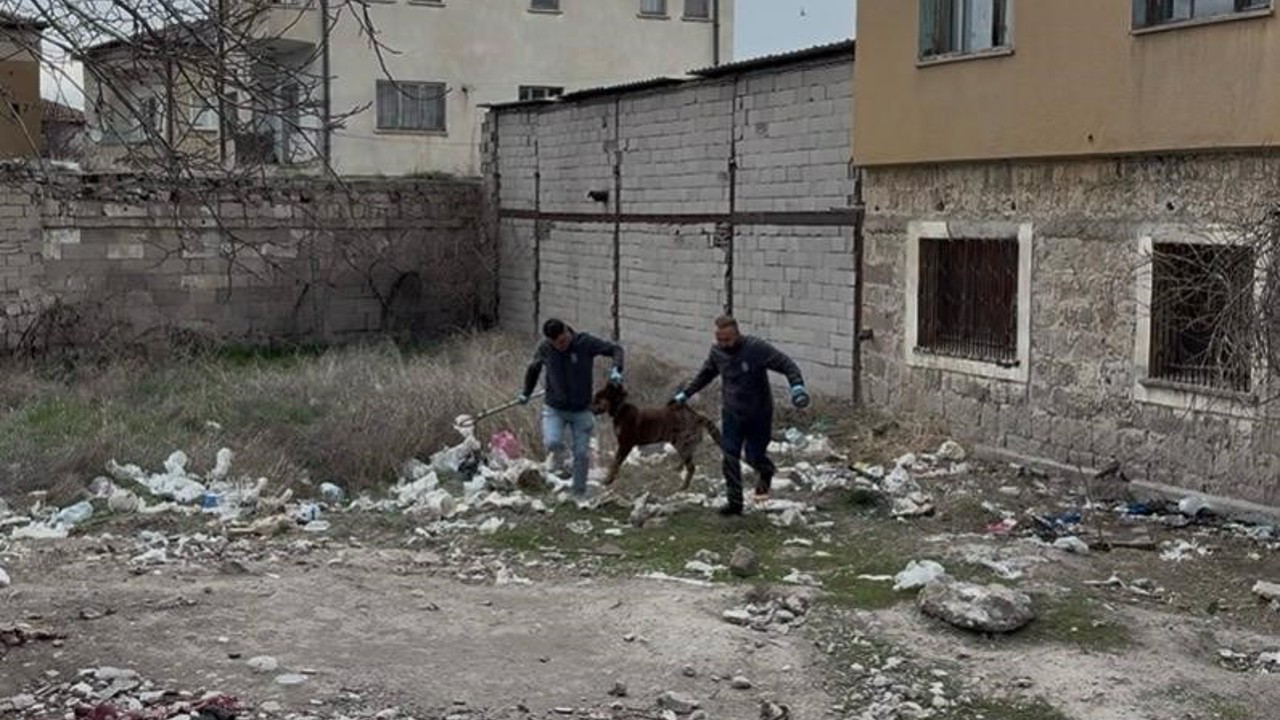 3 yaşındaki çocuğuna köpek saldıran baba: "Köpeğin çocuğumuzu bırakması için çok uğraştık"
