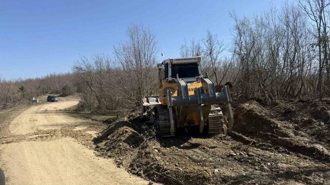 Sinop’a yeni orman nakliye güzergahı
