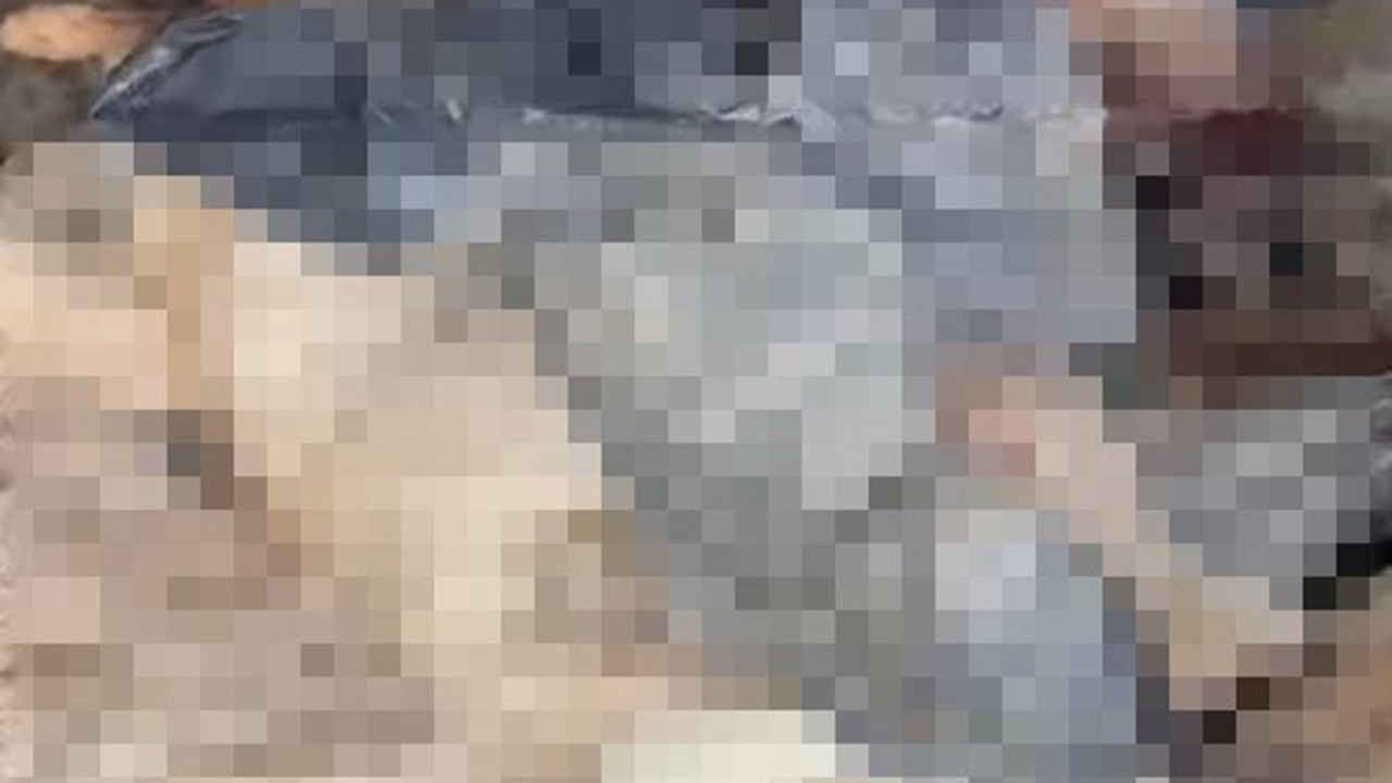 Bozüyük’teki barınak skandalına bir yenisi daha eklendi
