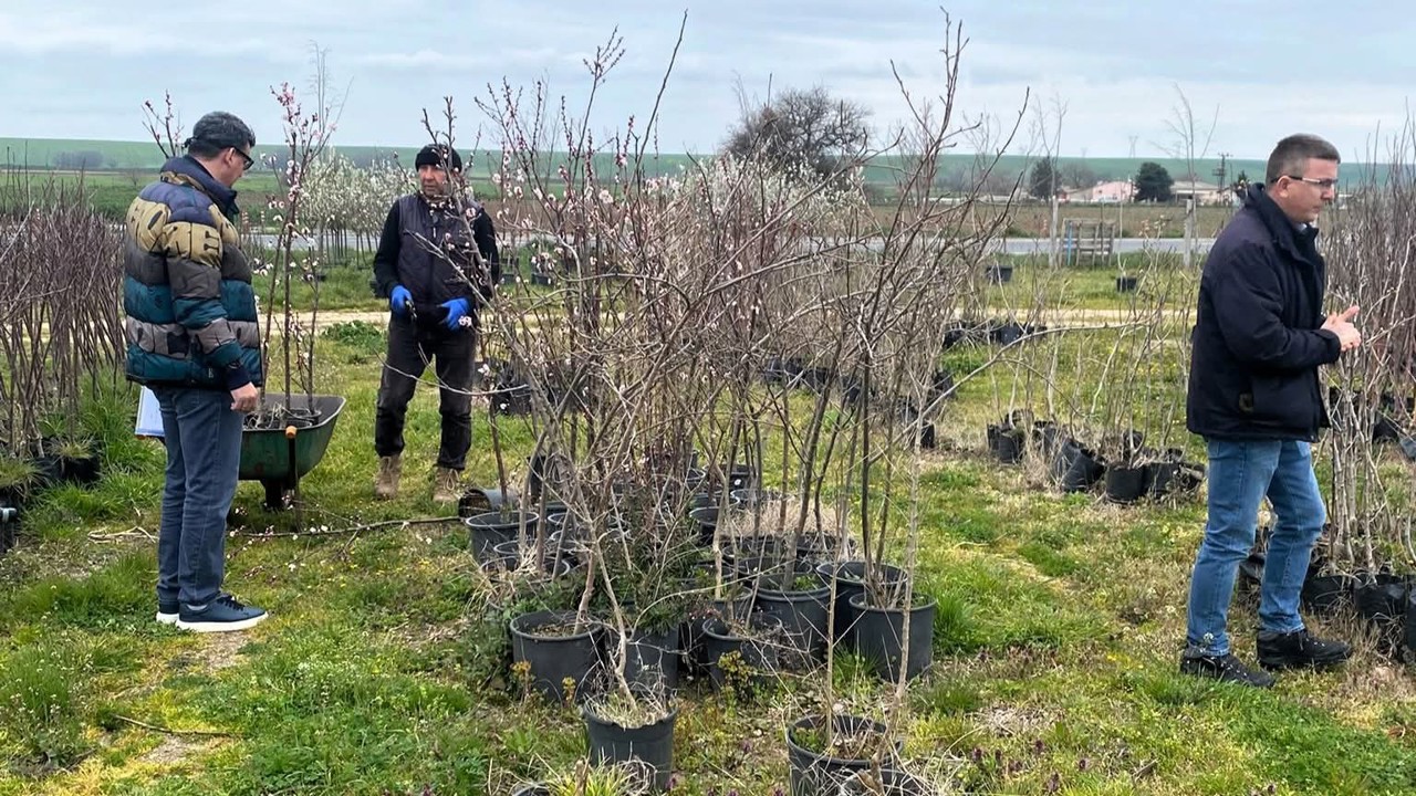 Lüleburgaz’da fidan satış noktalarına denetim
