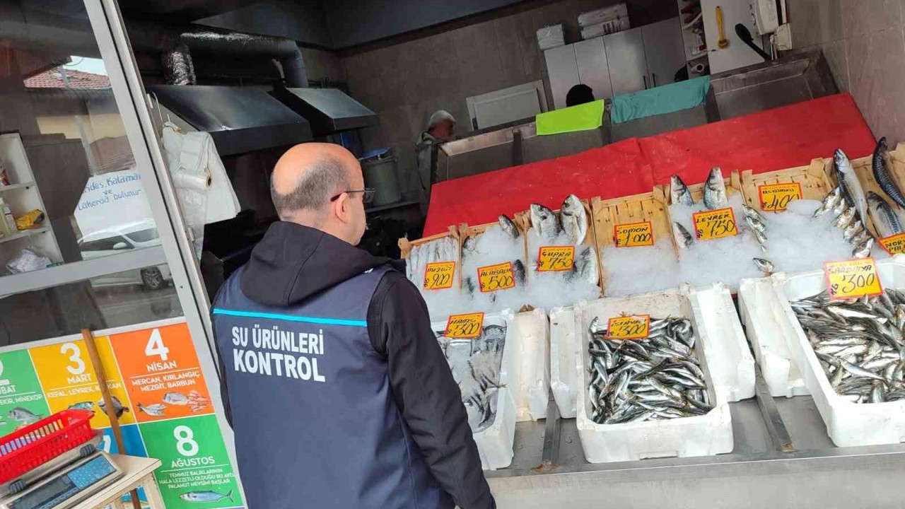 Edirne’de su ürünleri denetimleri sürüyor
