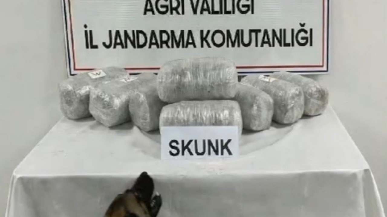 Ağrı’da 10 kilogram skunk ele geçirildi, 1 şüpheli tutuklandı
