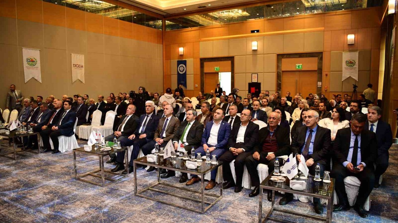 Malatya Turgut Özal Üniversitesi tarafından koordine edilen "İklim Direncini Art