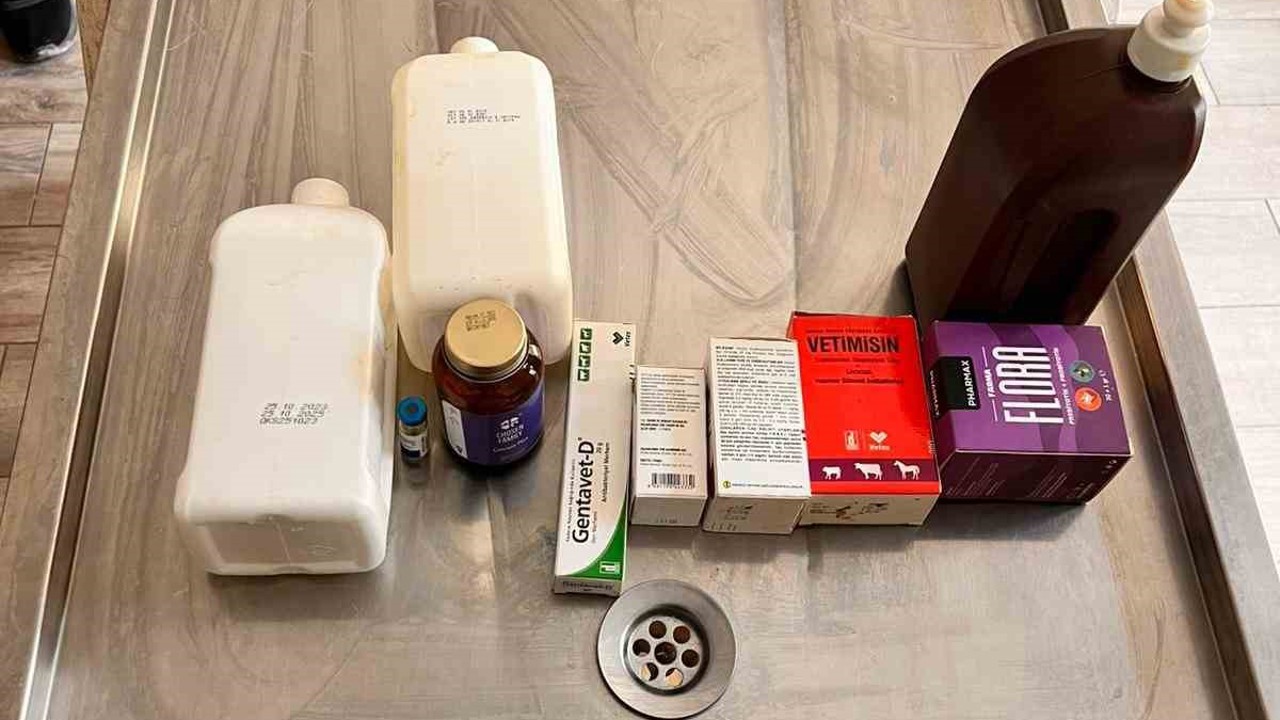 Açlıktan birbirini yiyen köpeklerin bakıldığı barınakta birçok ilacın tarihinin geçtiği belirlendi
