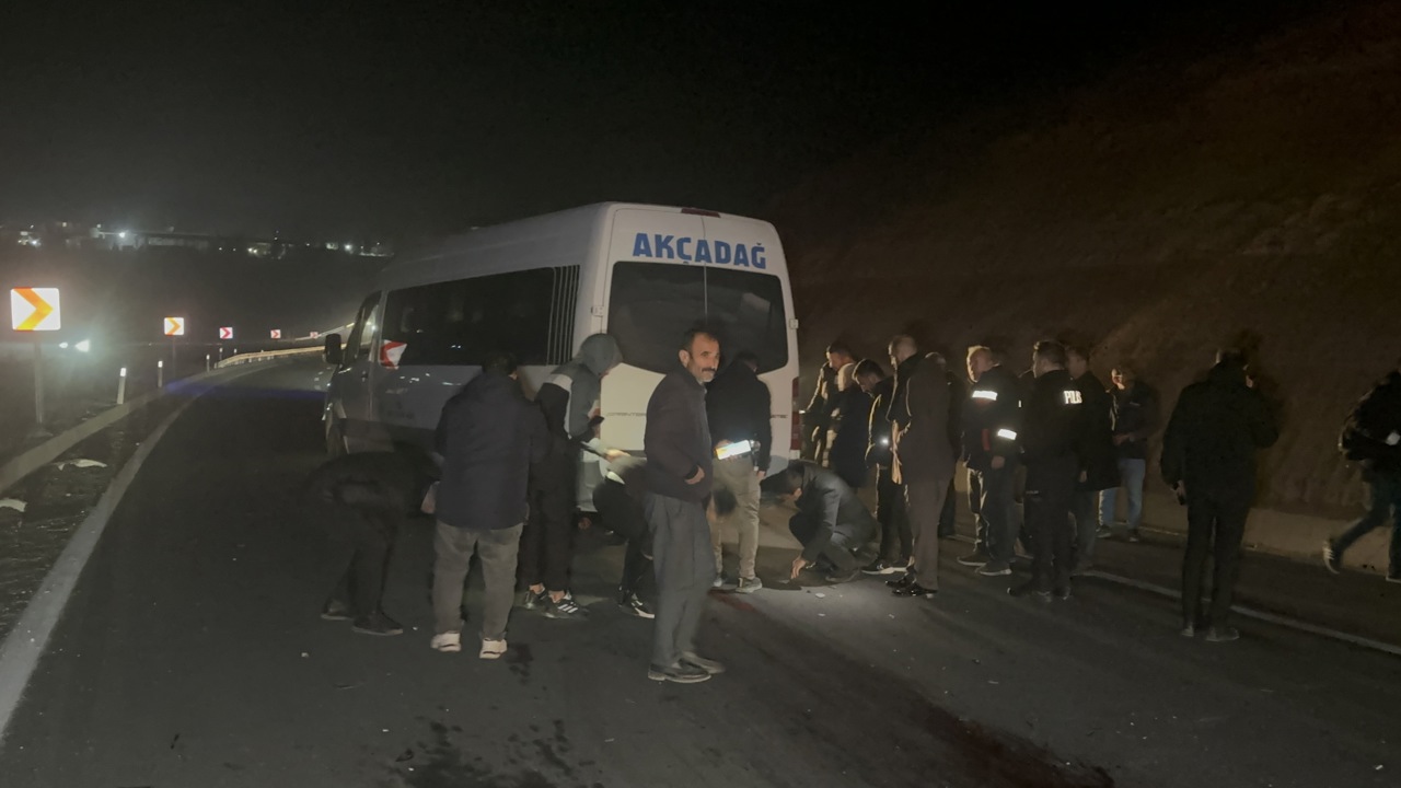 Kaçan Yarış Tayları Facia Yarattı: 8 Tay Telef Oldu