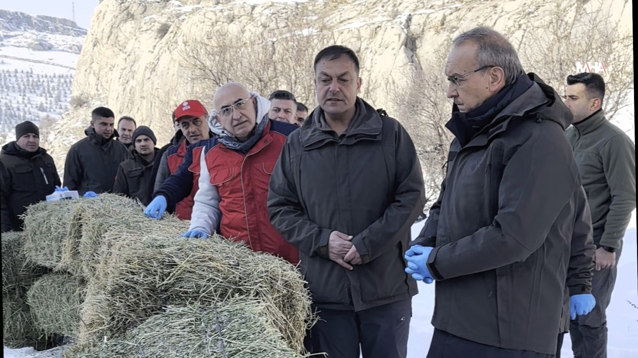 Vali Seddar Yavuz: Kış Şartlarında Zorlanan Yaban Hayvanları İçin Sahadayız