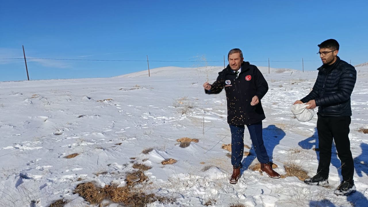 Darende’de Zorlu Kış Şartlarında Yaban Hayvanları İçin Yemleme Çalışması