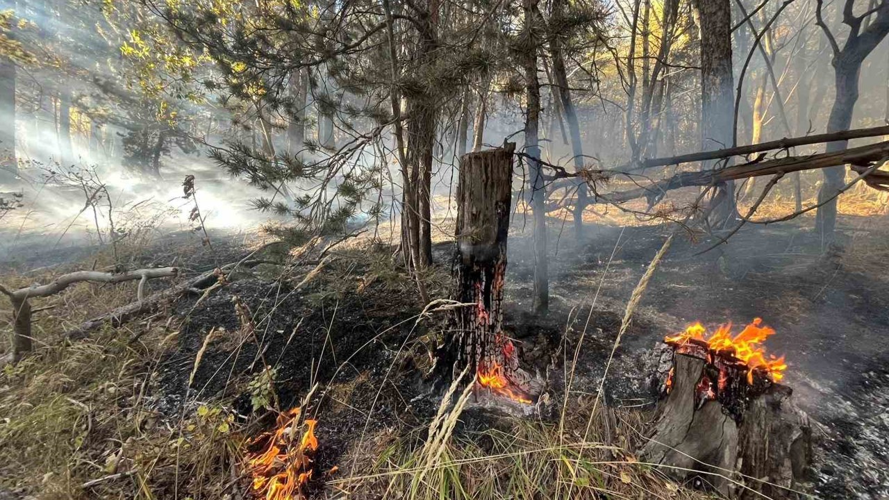 Sarıkamış’ta orman yangını: 2 hektar alan zarar gördü
