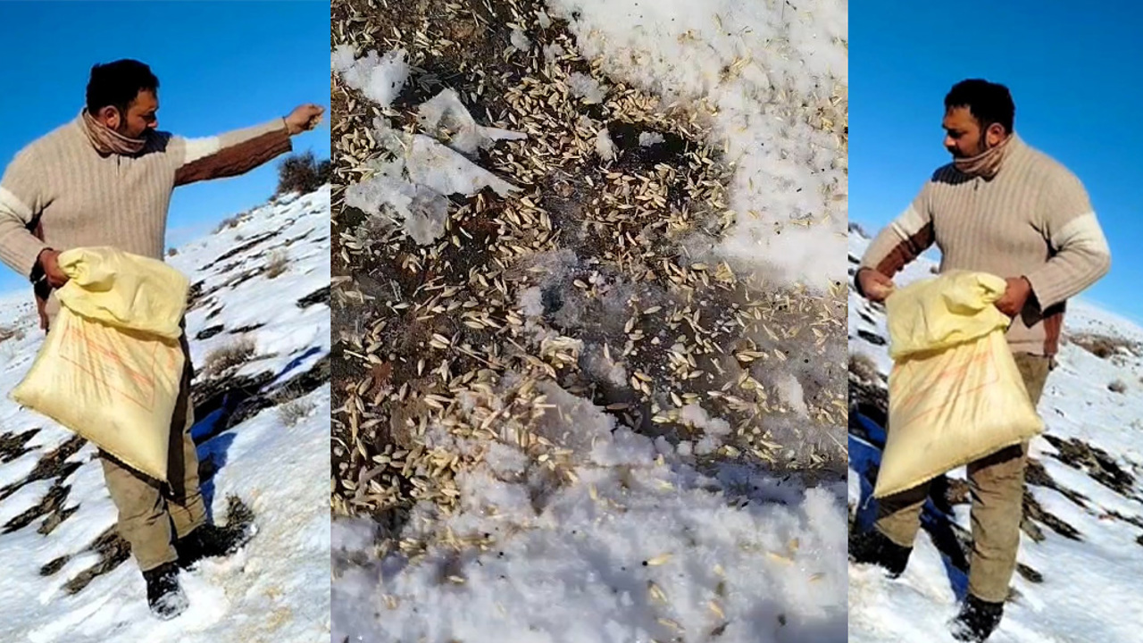 Arapgir’de Duyarlı Vatandaştan Doğaya Örnek Davranış