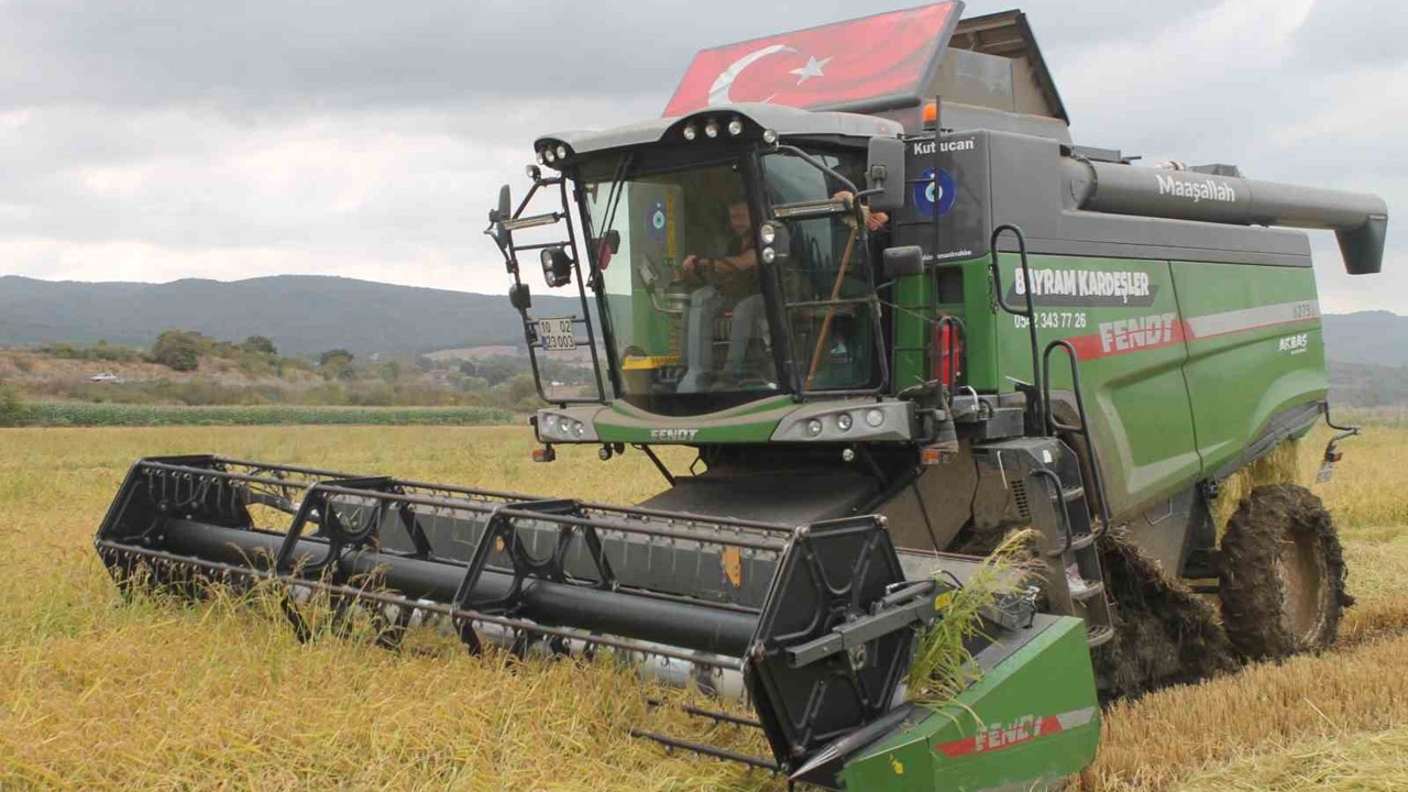 Manyas Ovası’nda çeltik hasadı başladı
