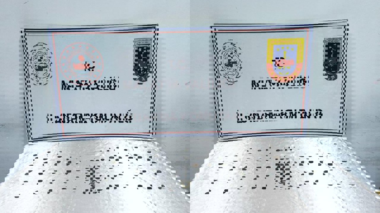 Malatya’da Tarihi Eser Operasyonu: 86 Sikke Ele Geçirildi