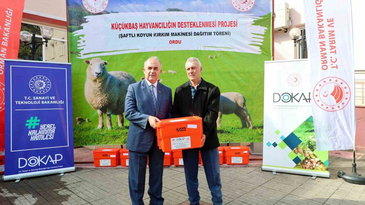 Ordu’da 150 koyun yetiştiricisine kırkım makine desteği
