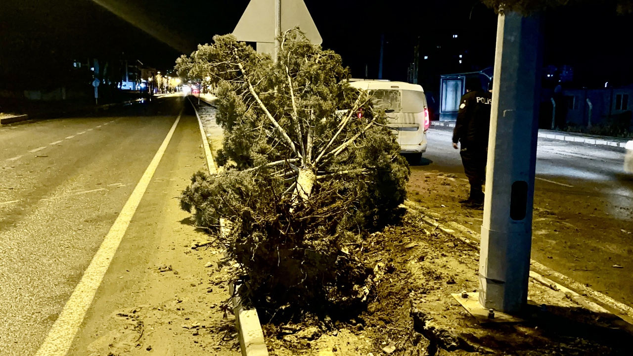 Malatya’da Fırtınalı Gece Hasara Yol Açtı