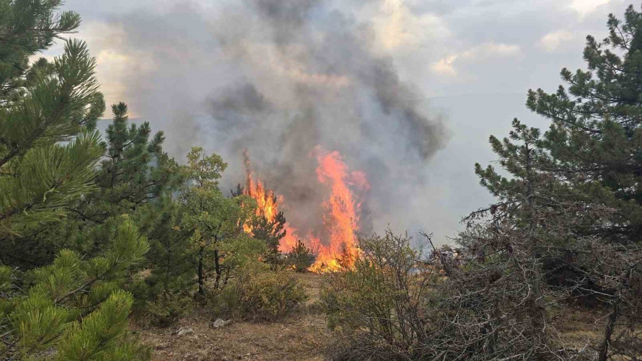 Konya’da ormanlık alanda çıkan yangın söndürüldü
