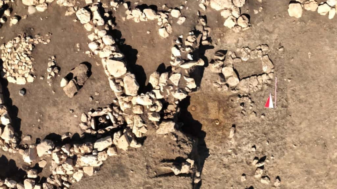 Çayönü Tepesi’nde 8 mezar gün yüzüne çıkarıldı
