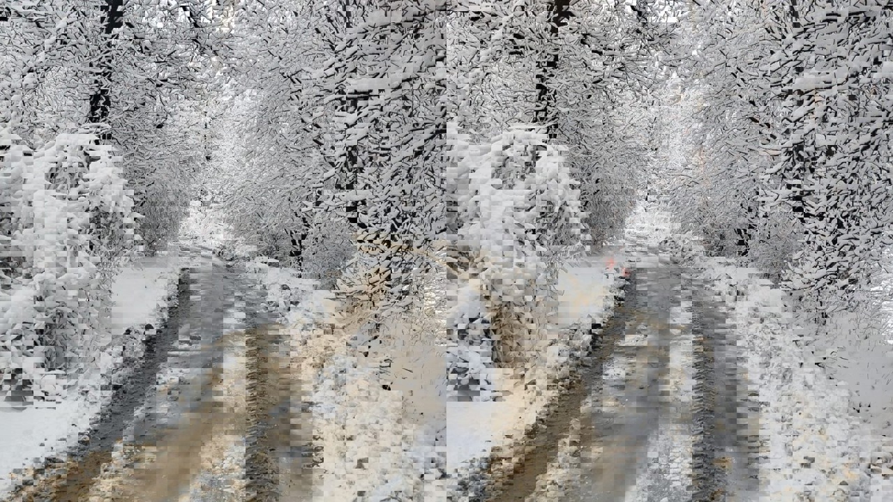 Yoğun kar ve buzlanma nedeniyle Akçadağ, Arapgir, Darende ve Yeşilyurt’ta taşıma