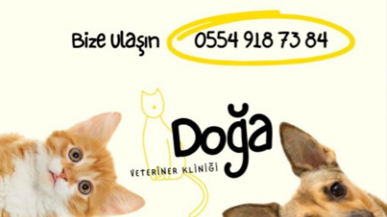 Malatya'daki Hayvanseverlere Müjde