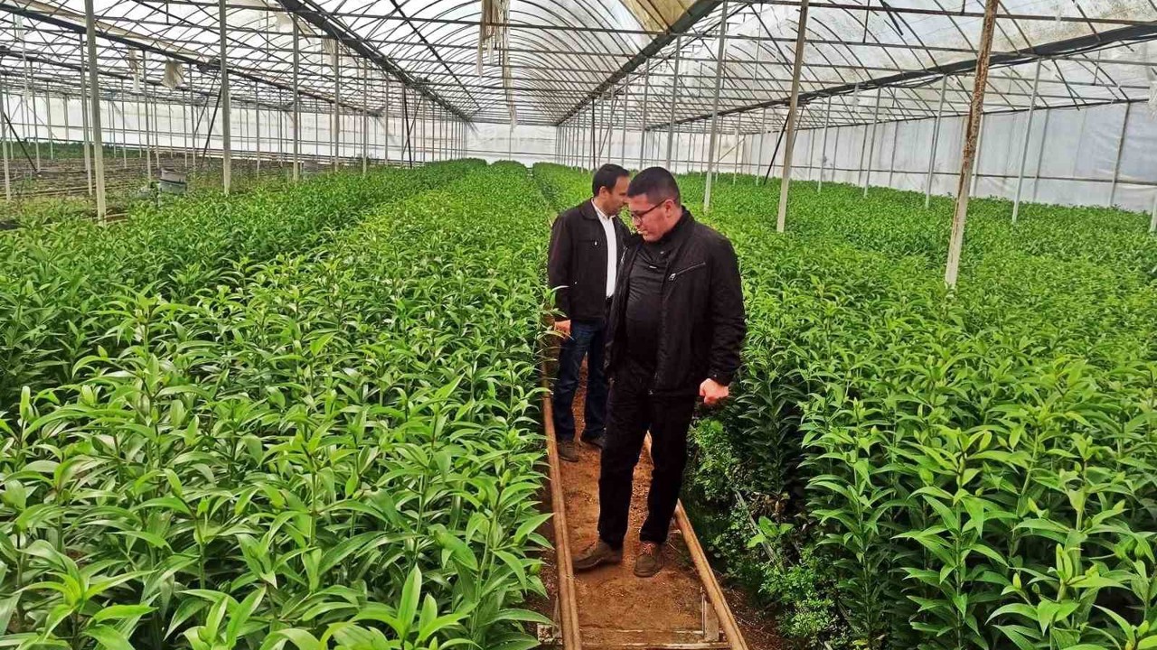 Emet’te üreticiler için Simav’daki seralara teknik gezi
