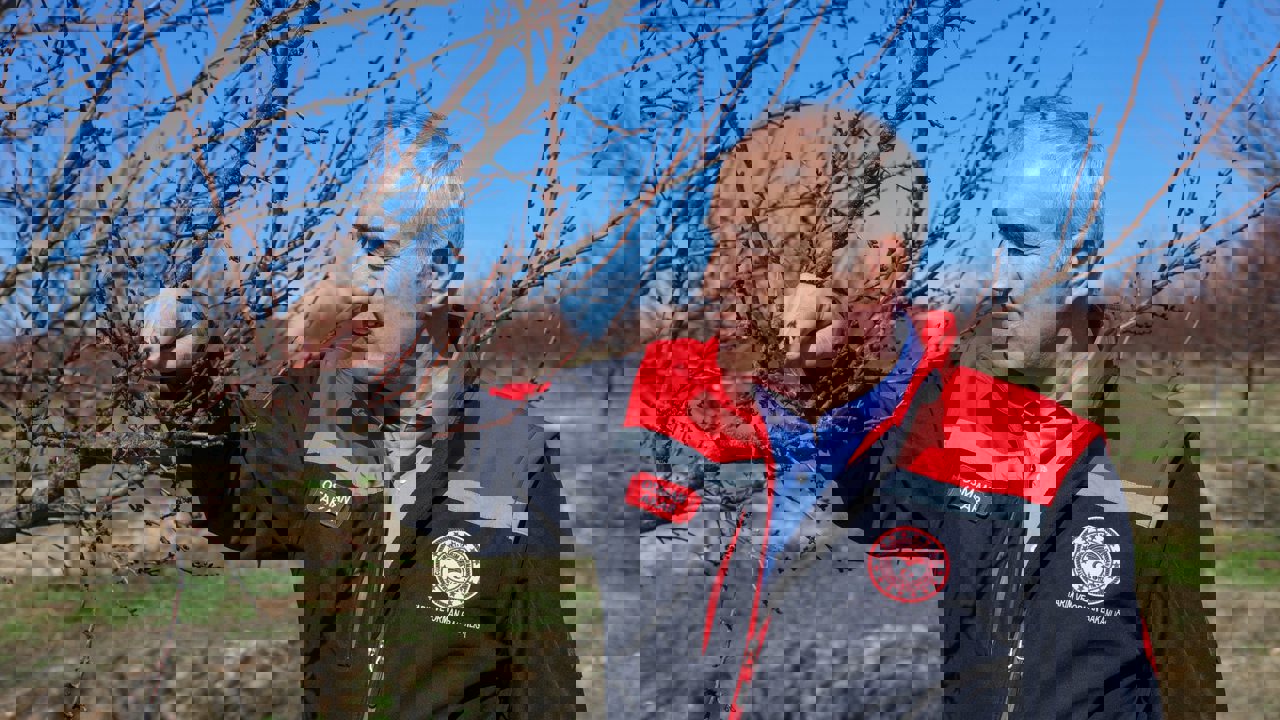 Akar: “Kayısıda Bu Yıl Üreticimizin Beklediği Verimi Almayı Umuyoruz”