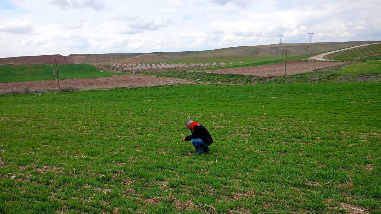 Yazıhan ilçesi Boyaca Mahallesi’nde, buğday üretiminde sürdürülebilir tarımı des